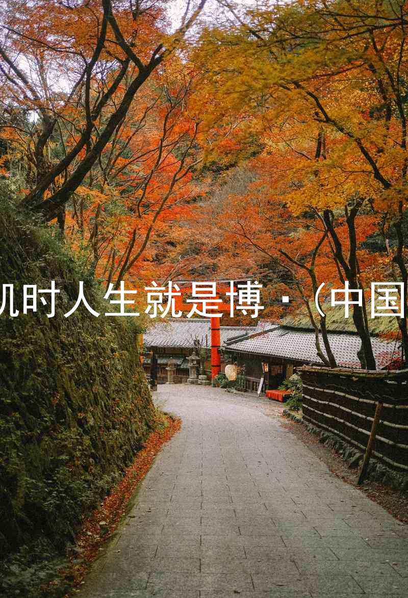 尊龙凯时人生就是博·(中国)bjl8